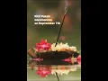 Download Lagu Pitri Paksha, a significant Hindu observance, takes place from September 7 to September 21, 2025.