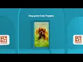 Find The Source of Happiness at Petland Knoxville