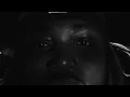 Leon Thomas, Freddie Gibbs - MUTT (REMIX) Official Video