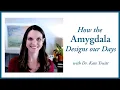 Download Lagu How the Amygdala Designs Our Days - Understanding the Survival Brain with Dr. Kate Truitt