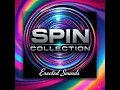 Spin Top