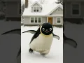Lagu Pinguin slipped when playing at home 😮🐧 #duploku #cute