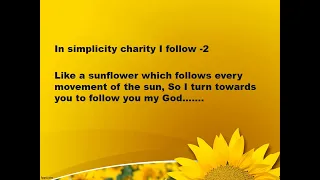 like a sunflower song