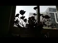 Jehrmar | Ciran Ciran (Nurettin Rençber - Ciran Ciran Cover)