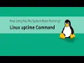 Linux Uptime Command Options and Output Explained