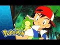 Ash Ketchum and Caterpie Become Best Friends Pokemon Indigo League