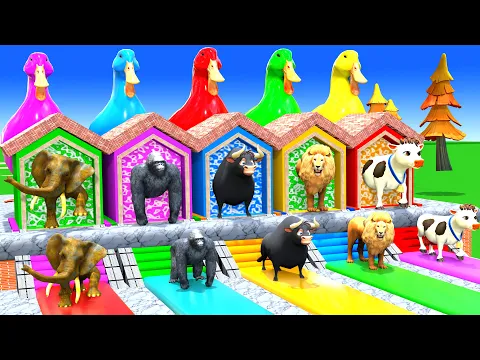 Video Thumbnail: Long Slide Game with Cow Elephant Gorilla Hippopotamus Tiger 3d Animal Game Funny 3d Animals