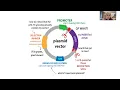 Molecular cloning overview - techniques workflow