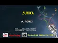 A. Romzi & The Hooks - Zunika | Karaoke Minus One Lirik Video HD