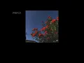 aminé - easy feat. summer walker (tradução/legendado)