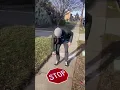 Stop sign