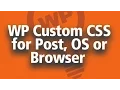 Wordpress Custom CSS - Custom CSS for OS Post Browser or whole website EASY