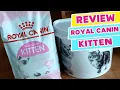 REVIEW ROYAL CANIN KITTEN DRYFOOD My Cats Diary