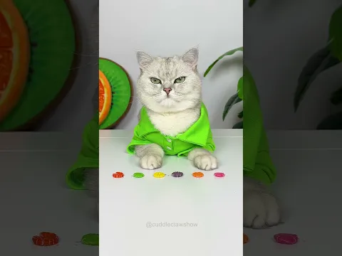 How to Make Skittles Hamburger π³ππΉ #shorts #cats