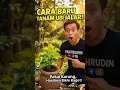 🌱 CARA BARU TANAM UBI JALAR PAKAI KARUNG | HASILNYA BIKIN KAGET! 🍠🔥