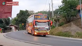 adu skill supir bus oleng telolet sugeng rahayu vs bus budiman