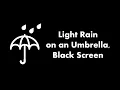 Download Lagu 🔴 Light Rain on an Umbrella, Black Screen ☔⬛ • Live 24/7 • No mid-roll ads