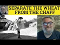 Wheat from the Chaff Meaning - Separate the Wheat from the Chaff Examples