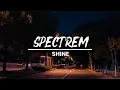Download Lagu SPECTREM - SHINE | Progressive House ((Video lyrics)