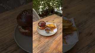                      مصر  مطاعم مصر دندنها