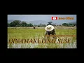 DINAMAKKULING SESE || Lagu Batak paling sexy sepanjang zaman || Wajib diTonton || Lirik \u0026 Arti lagu
