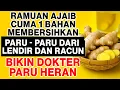 Tak Disangka! Rebusan Jahe Ternyata Ampuh Bersihkan Paru-Paru dari Lendir dan Racun