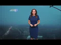 Ashley Dougherty Lily Coleman - WTAE 4 Weather Traffic Montage