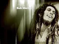 Bob Marley - Waiting In Vain Instrumental