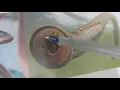 Virtual Ranger Pacific Lamprey