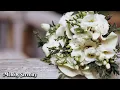 Download Lagu Самая красивая музыка в мире🌿красивые цветы цветут🌿Полное собрание Сергея Грищука #2
