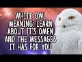 White Owl Meaning Owl Spirit Animal