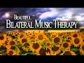 Download Lagu Beautiful Bilateral Music Therapy * Sunflowers * Heal Stress, Anxiety, PTSD - EMDR, Brainspotting MP3