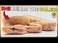 These Ball Pythons and their Genetics Bend the Rules - Supercut