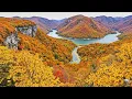 Serene Autumn Riverside – Soft Water Sounds & Forest Birdsong 🍂