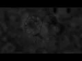 A Dozen Roses - Sammy Johnson (Sped Up)