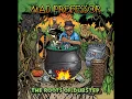 Mad Professor - Return Of Mandinka