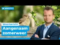 Download Lagu Aangenaam zomerweer met later een bui | Weerbericht