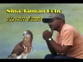 Download Lagu NINA JANGAN BOBO || Maxi Banusu || Lagu Pop Daerah NTT Terbaru