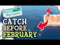 Animal Crossing New Horizons CATCH FISH BUGS BEFORE FEBRUARY January Critters You NEED To Find