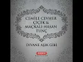 Divane Aşık Gibi