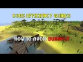 Don t Give Up on Ironman Yet RuneScape Efficiency Guides