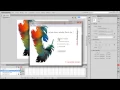 Improved Flash and Xml Quiz Builder