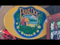 Puka Dog Our Review