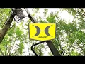 Largest Most Comfortable Ladder Stand - SASQUATCH by HAWK