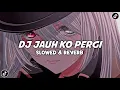 Lagu DJ JAUH KO PERGI ( Slowed \u0026 Reverb ) Viral Tiktok 2026