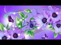 Download Lagu THE MOST BEAUTIFUL MUSIC OF LOVE IS BY SERGEY GRISCHUK. MUSIC FOR STRESS RELIEF.