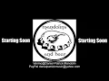 Mandolins and Beer Austin Livestream (starts at 20:00)