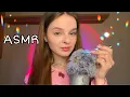 Download Lagu ASMR 🐞 Bug Searching + Scalp Check on Fluffy Mic 🎧✨
