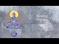 Dalai Lama - Inner World: Healing