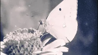 افضل رنات اسلامية       اجمل نغمات موبايل  اناشيد دينية   نغمة رنين هاتف اسلامية                  دندنها